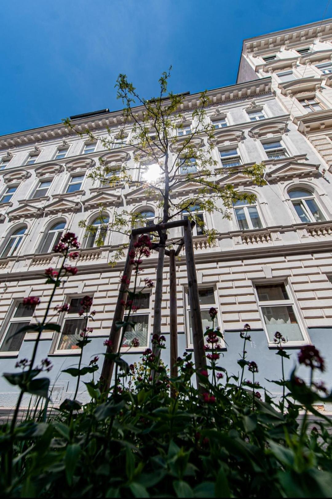 Vienna My City Apartment Garden View Экстерьер фото